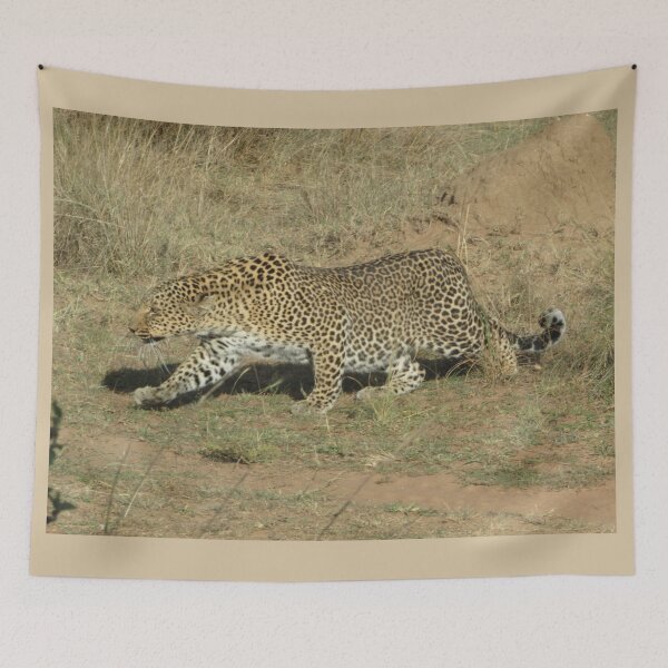 Item preview, Silent Majesty of the Samburu Leopard designed and sold by annenambiro.