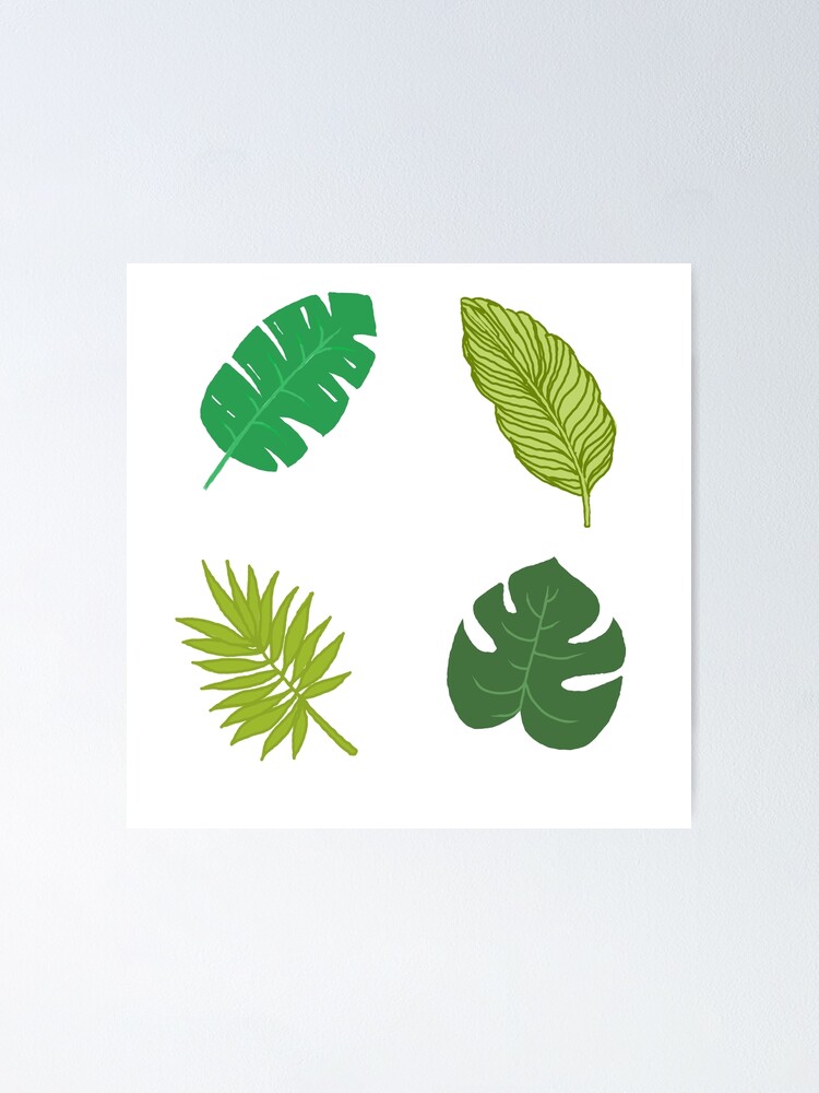 Aesthetic One Line Art Tropical Leaf Monstera Leaves, Monster Drawing, Leaves  Drawing, Leaf Drawing PNG and Vector with Transparent Background for Free  Download