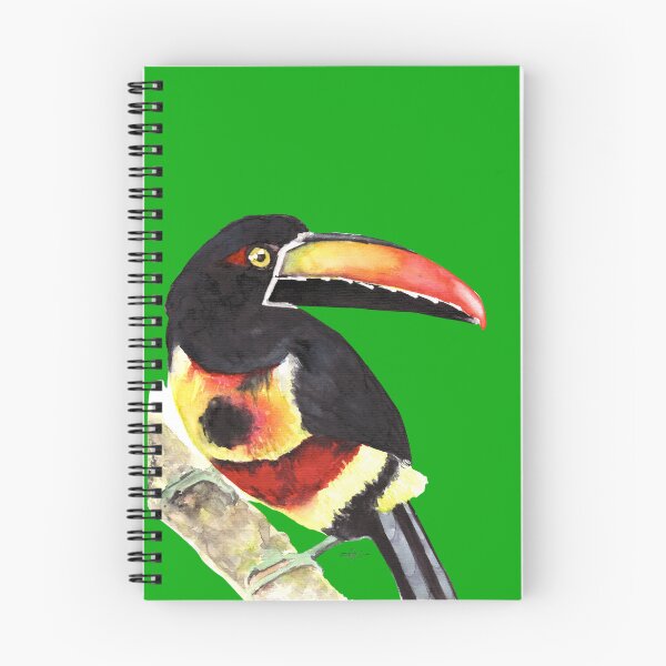 Item preview, Fiery-Billed Aracari bird watercolour painting designed and sold by art-elodie-g.