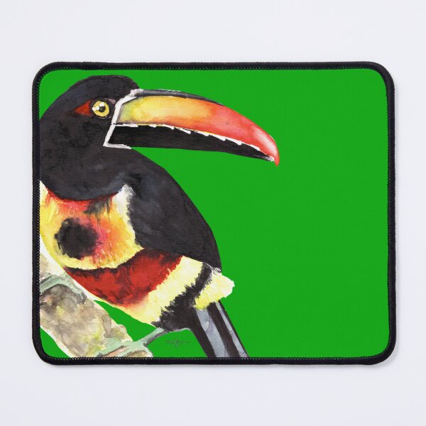Item preview, Fiery-Billed Aracari bird watercolour painting designed and sold by art-elodie-g.