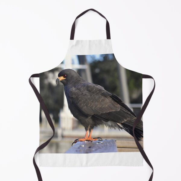 Item preview, Snail Kite Perched on Wooden Railing designed and sold by MercerImages.