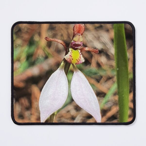 Item preview, Wild The Offspring fMeadow Dreams designed and sold by Khaactorwriter.