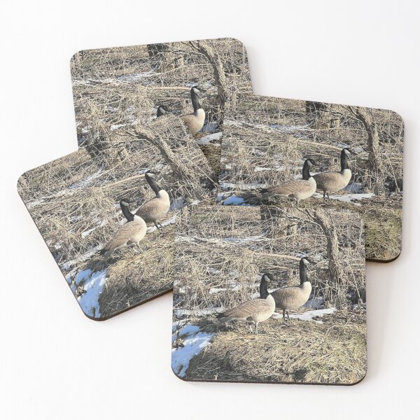 Item preview, Wild Geese designed and sold by Alexander Krishchyunas.