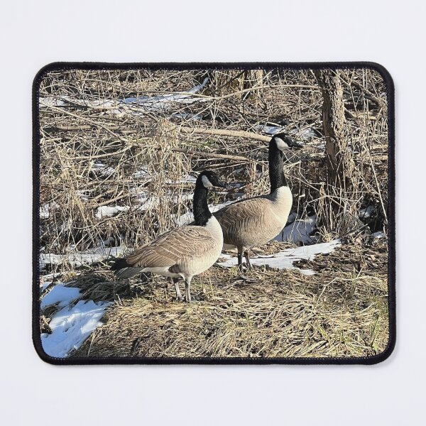 Item preview, Wild Geese designed and sold by Alexander Krishchyunas.