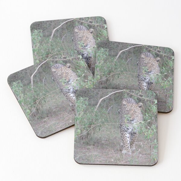 Item preview, Eyes of the Wild: Samburu Leopard designed and sold by annenambiro.