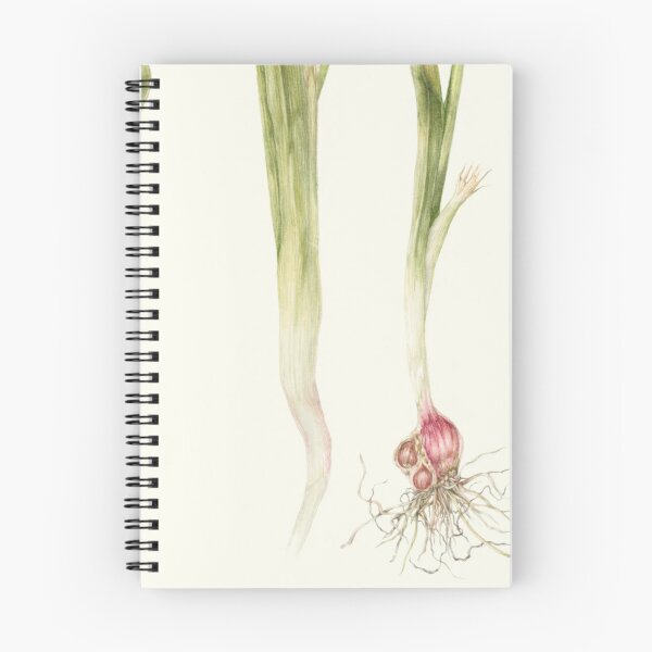 Item preview, Enchanted Tinkerbell aForest Flora designed and sold by Khaactorwriter.