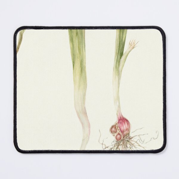 Item preview, Enchanted Tinkerbell aForest Flora designed and sold by Khaactorwriter.