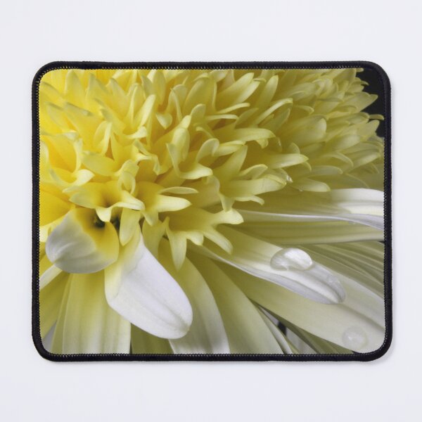 Item preview, Even under Tears designed and sold by SmoothBreeze7 | Liz Collet Photography.