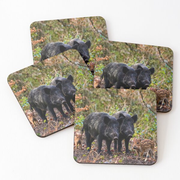 Item preview, Forest boar designed and sold by missmoneypenny.