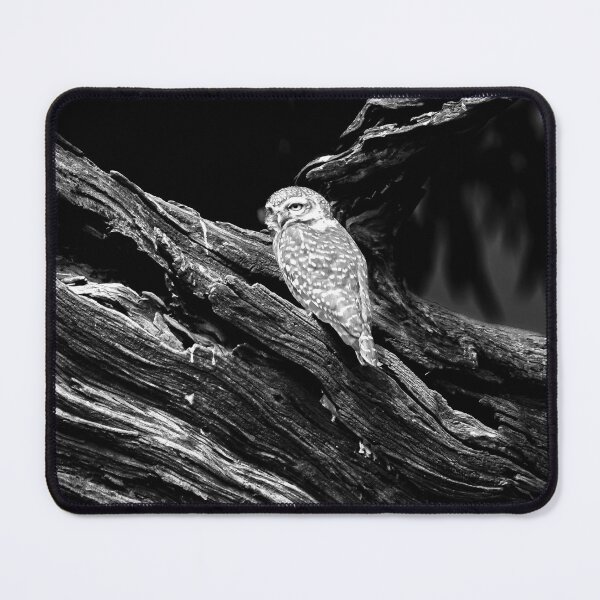 Item preview, Spotted Owlet on a tree designed and sold by Pravine Chester.