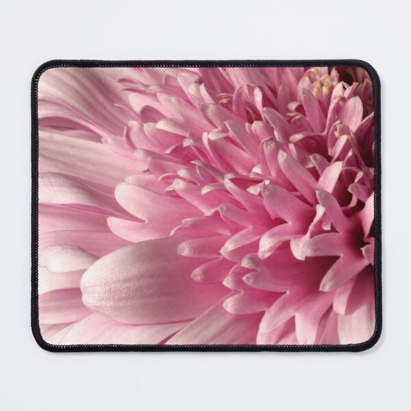 Item preview, Pink Chrysanthme designed and sold by SmoothBreeze7 | Liz Collet Photography.