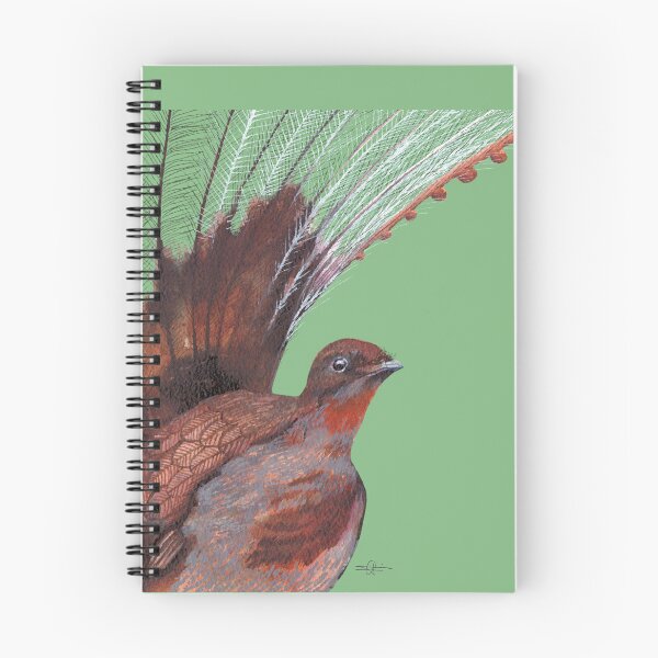 Item preview, Superb Lyrebird bird watercolour painting designed and sold by art-elodie-g.
