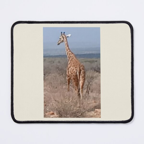 Item preview, African Majesty: Giraffe in Natural Masai Mara Habitat designed and sold by annenambiro.