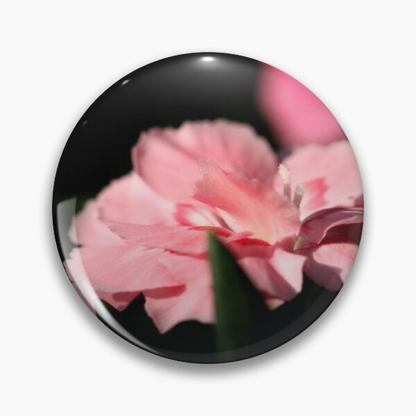 Item preview, Dianthus caryophyllus designed and sold by SmoothBreeze7 | Liz Collet Photography.