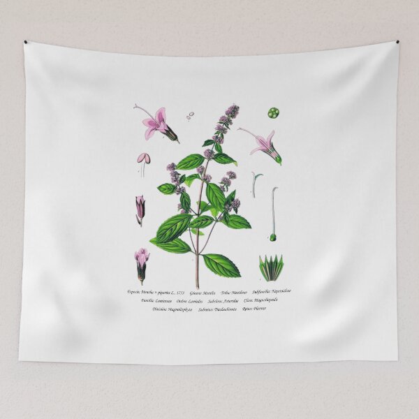 Item preview, Peppermint designed and sold by Flores1965.