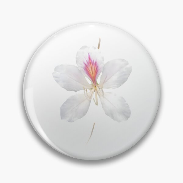Item preview, Bauhinia variegata (Orchid Tree) designed and sold by HOMETOWN86.