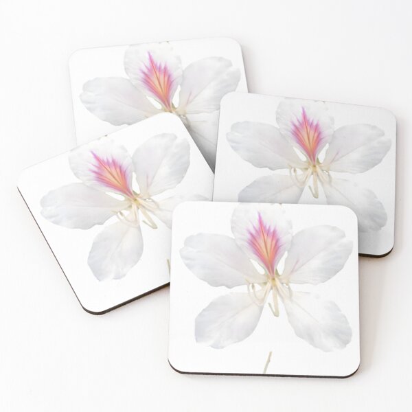 Item preview, Bauhinia variegata (Orchid Tree) designed and sold by HOMETOWN86.