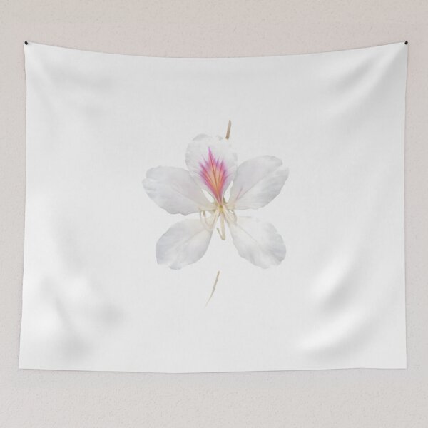 Item preview, Bauhinia variegata (Orchid Tree) designed and sold by HOMETOWN86.