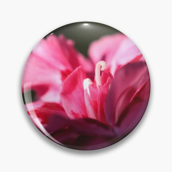 Item preview, Dianthus caryophyllus designed and sold by SmoothBreeze7 | Liz Collet Photography.