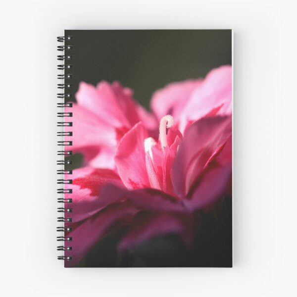 Item preview, Dianthus caryophyllus designed and sold by SmoothBreeze7 | Liz Collet Photography.