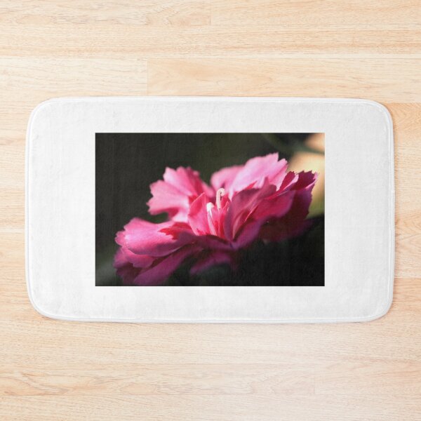 Item preview, Dianthus caryophyllus designed and sold by SmoothBreeze7 | Liz Collet Photography.