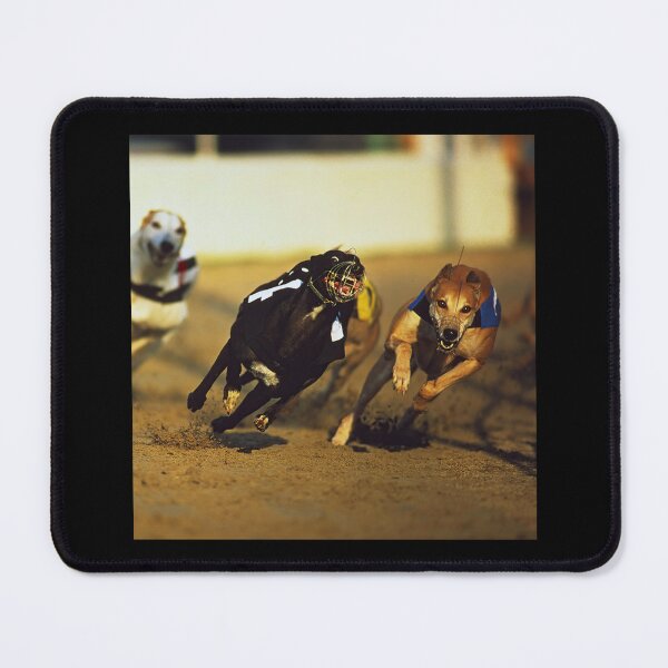 Item preview, Vintage Dog Racing Photo | Retro Greyhound Racing Art | Classic Canine Decor designed and sold by Otaku Style.