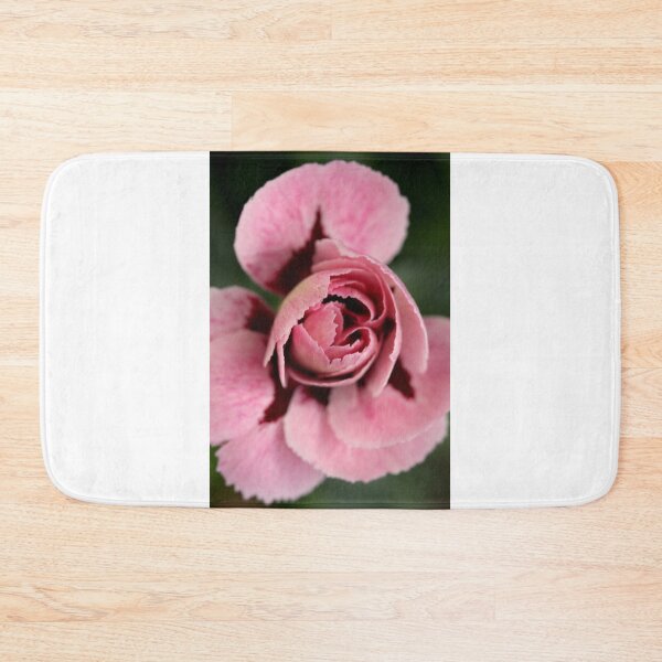 Item preview, Fragrant carnation, Dianthus caryophyllus designed and sold by SmoothBreeze7 | Liz Collet Photography.