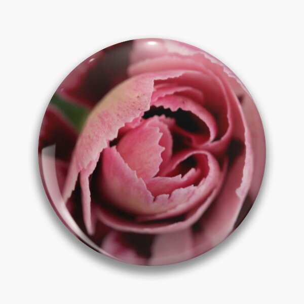 Item preview, Fragrant carnation, Dianthus caryophyllus designed and sold by SmoothBreeze7 | Liz Collet Photography.