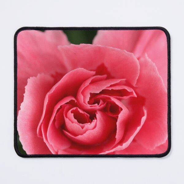 Item preview, Salmon-colored Dianthus caryophyllus designed and sold by SmoothBreeze7 | Liz Collet Photography.