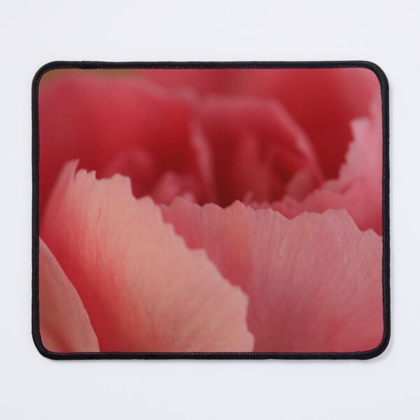 Item preview, Salmon colored Dianthus caryophyllus designed and sold by SmoothBreeze7 | Liz Collet Photography.