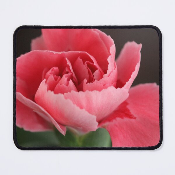 Item preview, Dianthus caryophyllus designed and sold by SmoothBreeze7 | Liz Collet Photography.