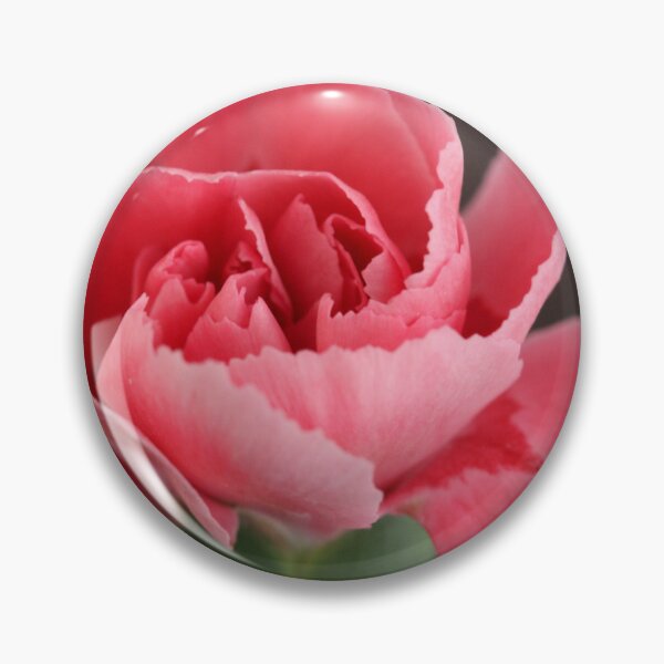 Item preview, Dianthus caryophyllus designed and sold by SmoothBreeze7 | Liz Collet Photography.