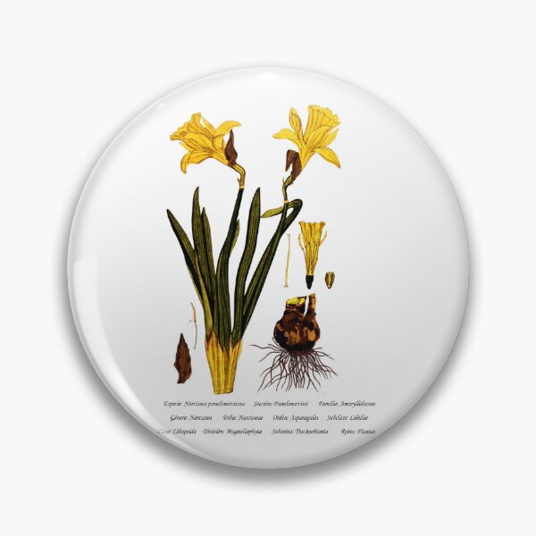 Item preview, Daffodil designed and sold by Flores1965.