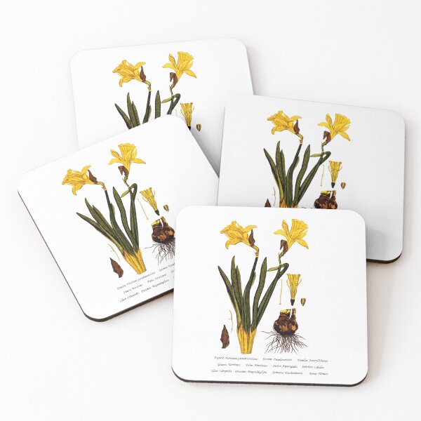 Item preview, Daffodil designed and sold by Flores1965.