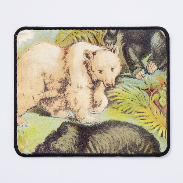 Item preview, Species of Bears vintage illustration art designed and sold by Vintage Designs +.