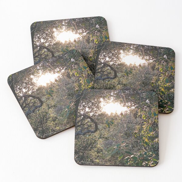 Item preview, Edge of the woods designed and sold by Design-public.
