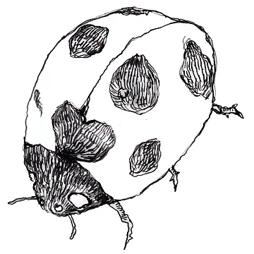 Artwork thumbnail, Ladybug A by YA sisters