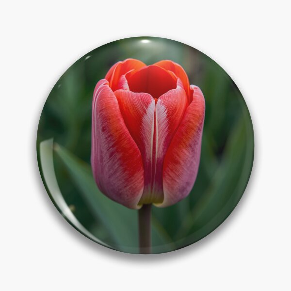 Item preview, Spring in a Single Bloom designed and sold by PTB-SHOP.