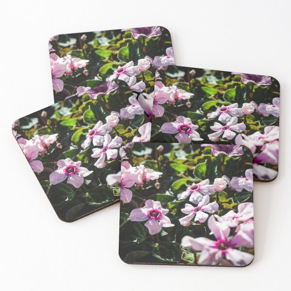 Item preview, Cyclamen Flowers designed and sold by Douglas E. Welch Design and Photography.