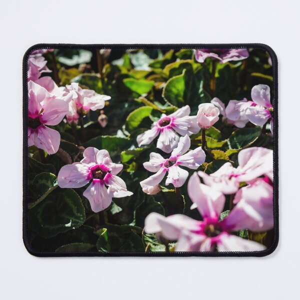 Item preview, Cyclamen Flowers designed and sold by Douglas E. Welch Design and Photography.