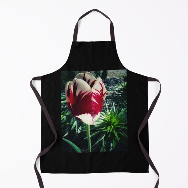 Item preview, Verigated Tulip designed and sold by PementPhotoArt.