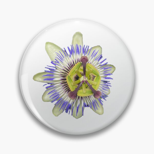 Item preview, Passion Flower Sticker designed and sold by RozDoz.