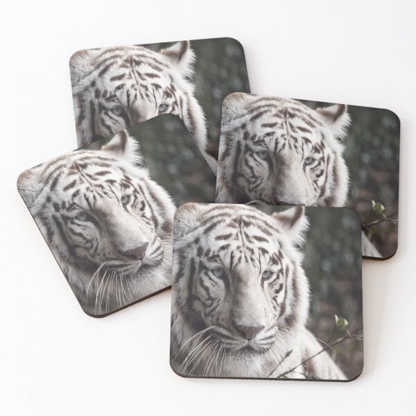 Item preview, white tiger nature wildlife photo art designed and sold by SmashingDeals.
