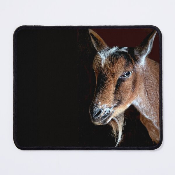 Item preview, Goat Tee Cute Nigerian Dwarf Art designed and sold by Sharon Cummings Art.