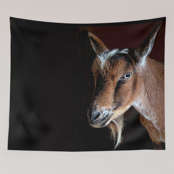 Item preview, Goat Tee Cute Nigerian Dwarf Art designed and sold by Sharon Cummings Art.