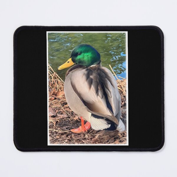 Item preview, The Mallard designed and sold by PementPhotoArt.