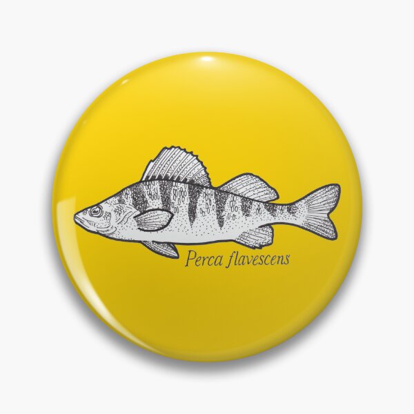Item preview, Perca flavescens (Perch) designed and sold by Cassie Noble.