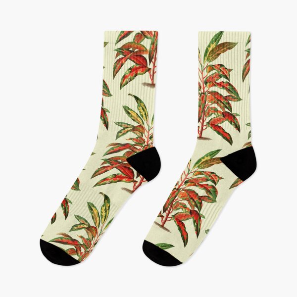 Item preview, vintage red and green houseplant designed and sold by okapia concolor.