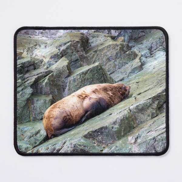 Item preview, The Giant Potato - Stellar Seal designed and sold by TinyDinoDesigns.