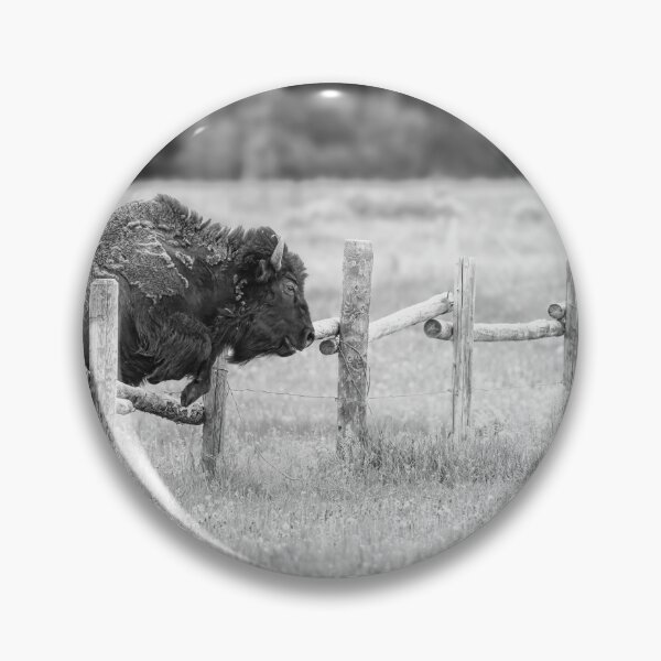 Item preview, Bison Leaps a Fence Grand Teton NP BW designed and sold by PhotoArt by Joan Carroll.